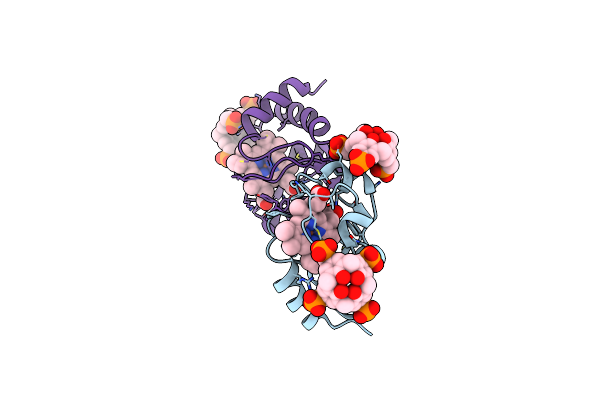 5NCV image