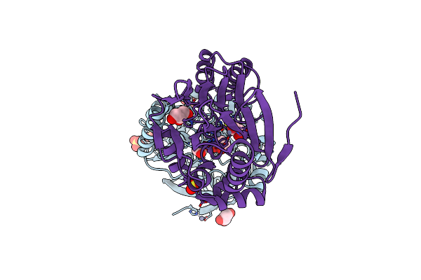 5NDE image