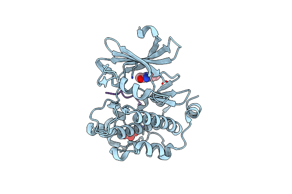 5NDT image
