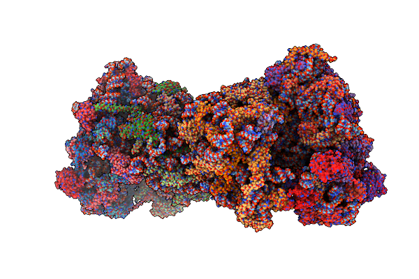 5NDV image
