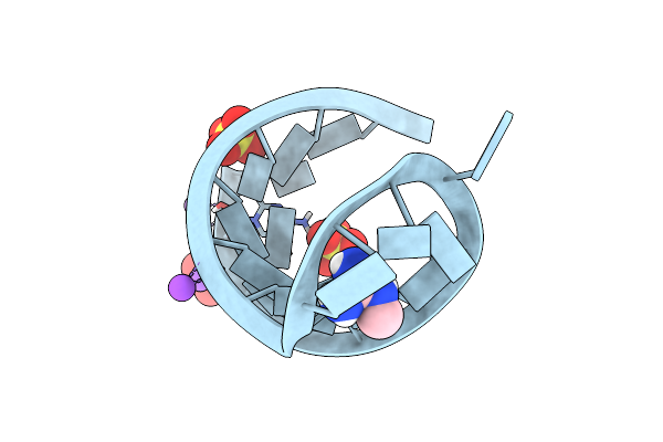 5NEP image
