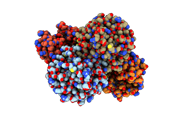 5NF1 image