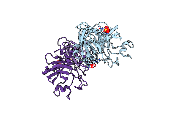 5NF4 image