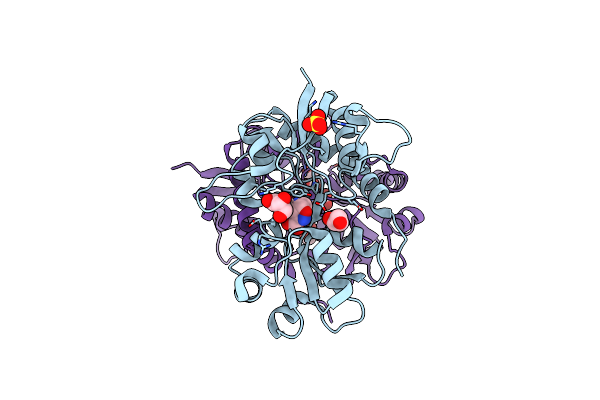 5NF5 image