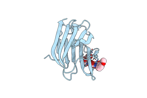 5NF9 image