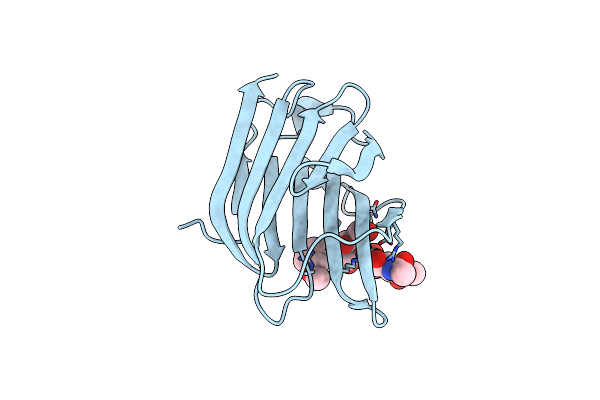 5NFA image
