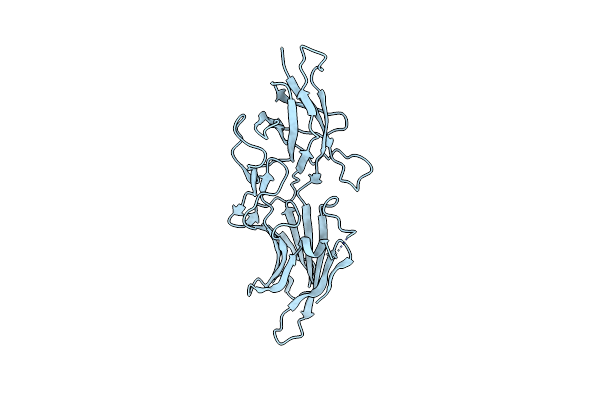 5NFI image