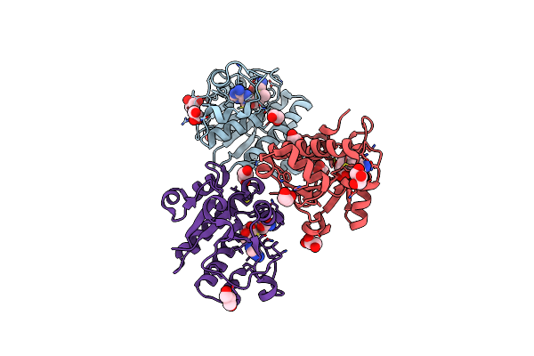 5NFJ image