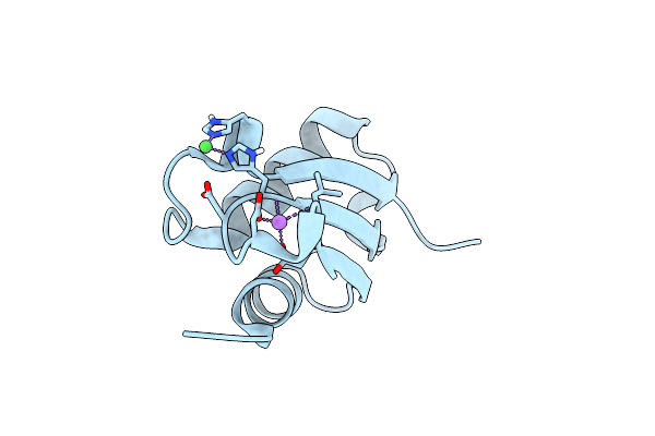 5NFK image
