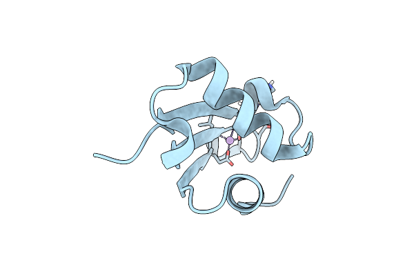 5NFM image