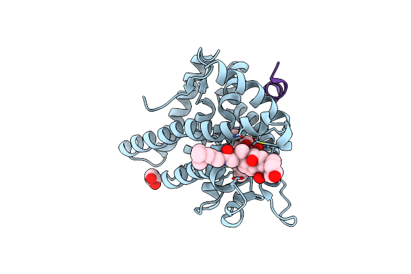5NFP image