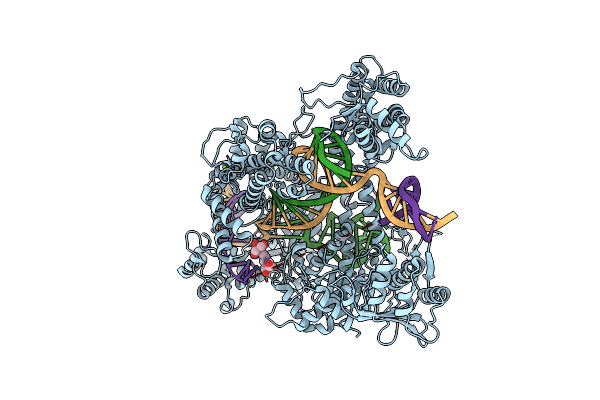 5NFV image