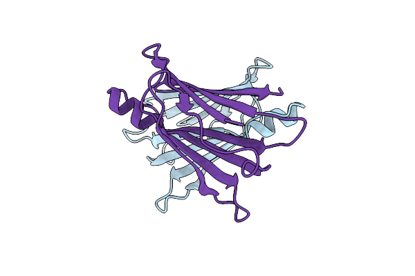 5NFW image