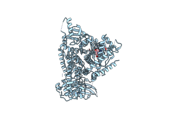 5NGB image