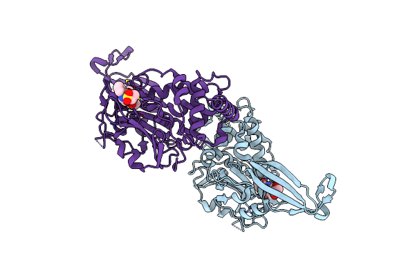 5NGF image