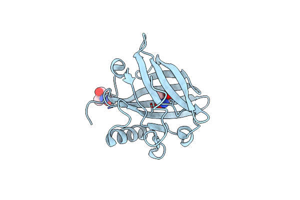 5NGH image