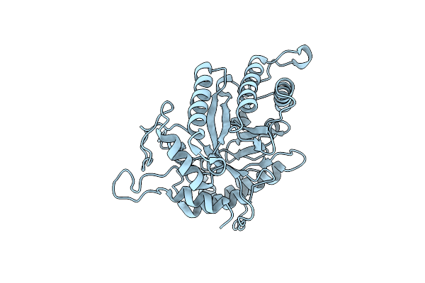 5NGW image