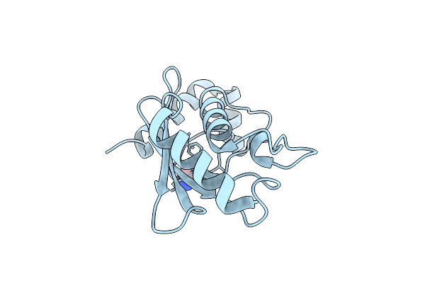 5NGZ image