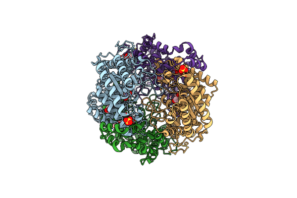 5NHM image
