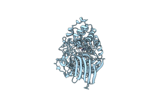 5NID image