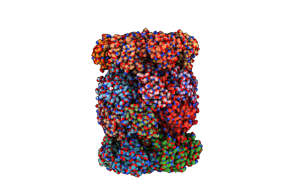 5NIF image