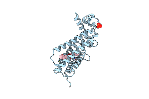 5NIM image