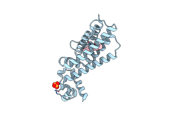 5NIO image