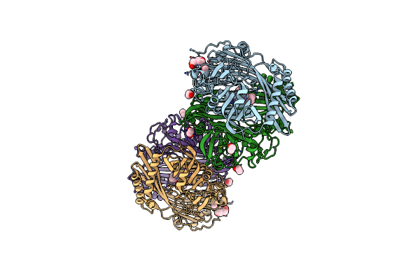 5NJB image