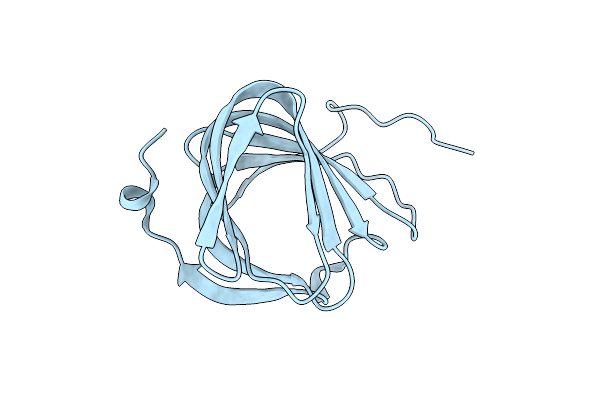 5NJN image