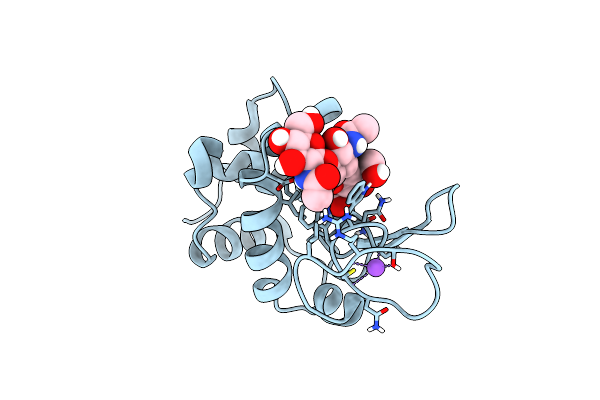 5NJP image