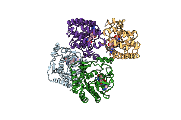 5NJV image
