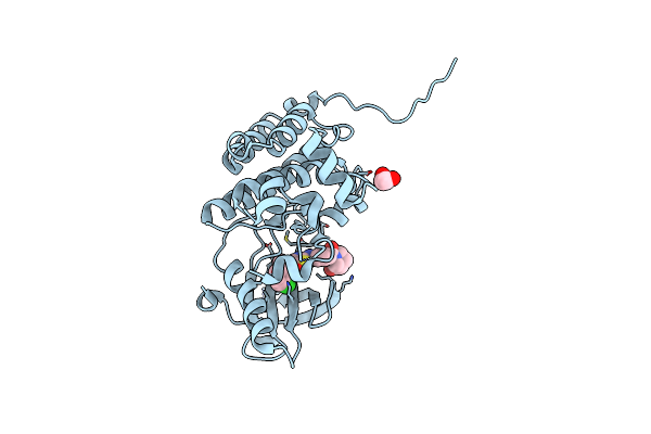 5NKC image