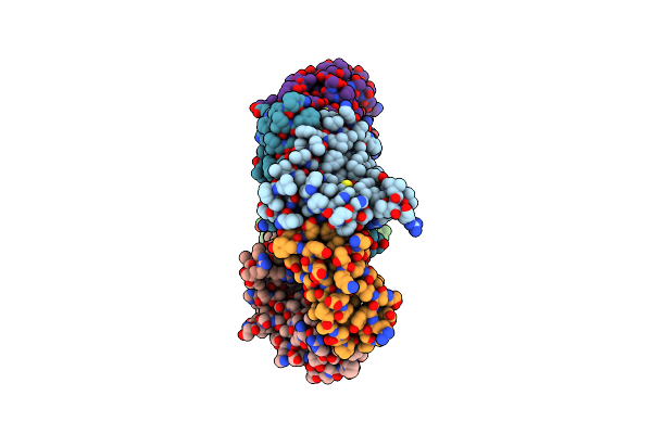 5NKQ image