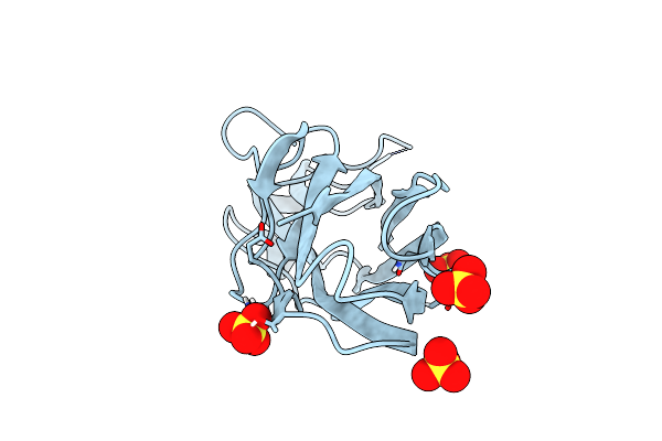 5NKT image