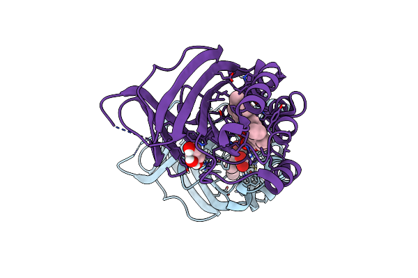 5NKU image