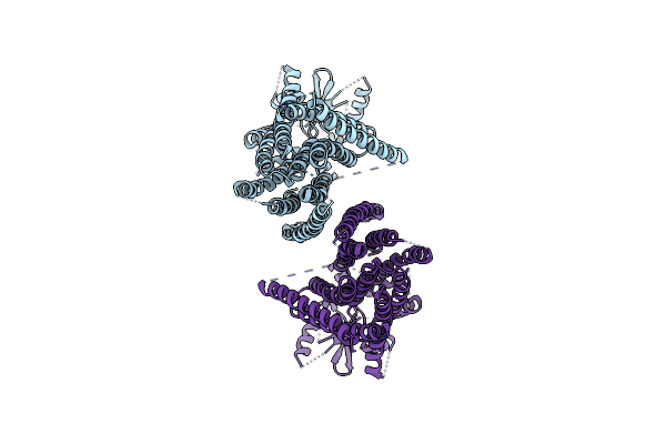 5NL2 image