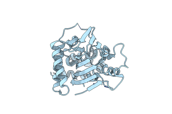 5NLA image