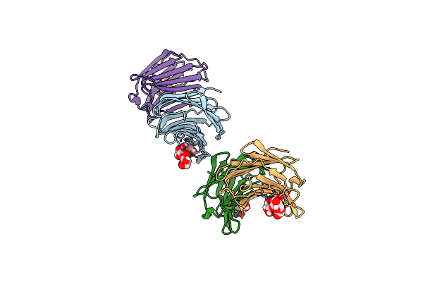 5NLE image