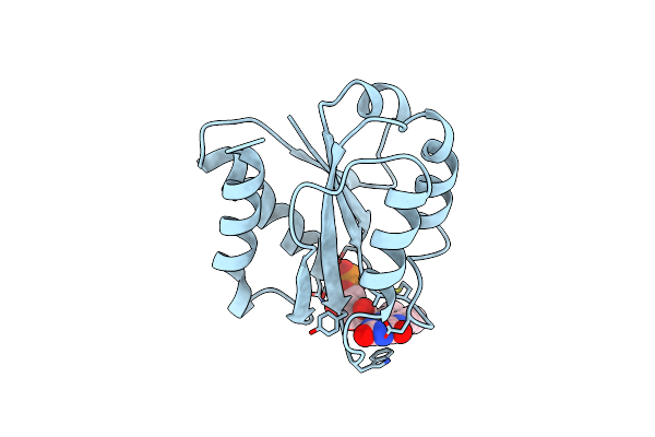 5NLL image