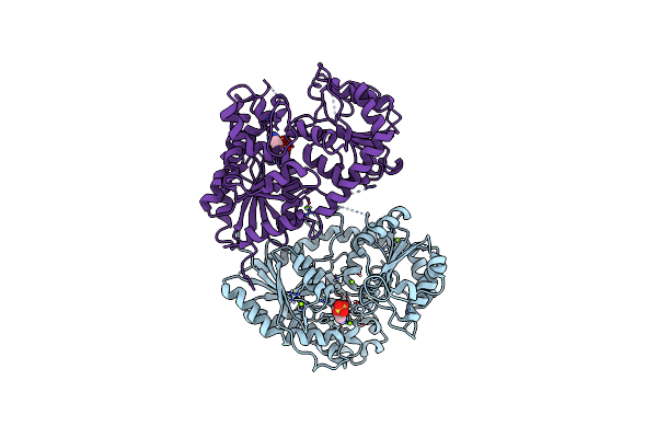 5NLM image