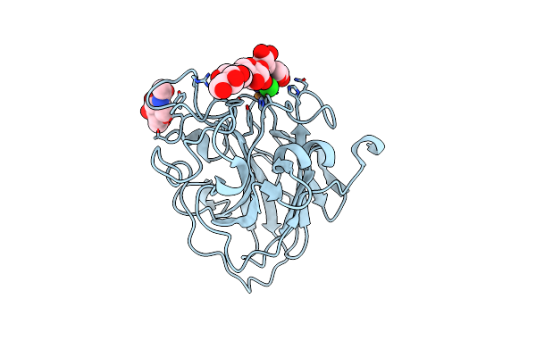 5NLN image