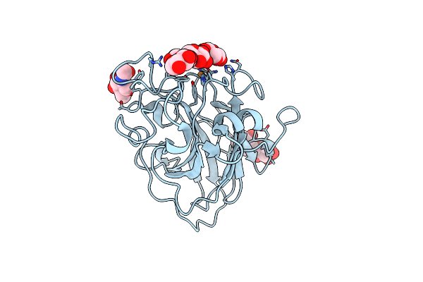 5NLP image