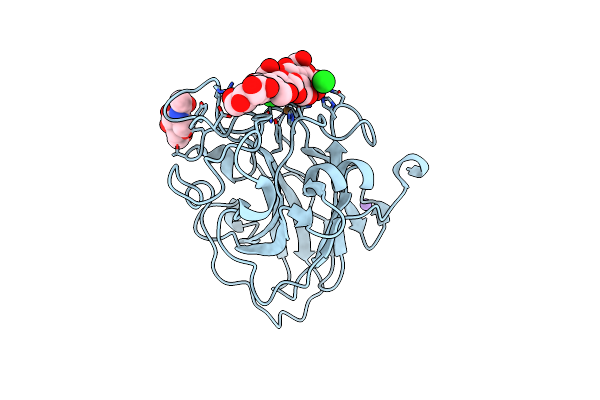 5NLS image