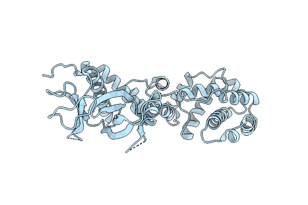 5NLV image