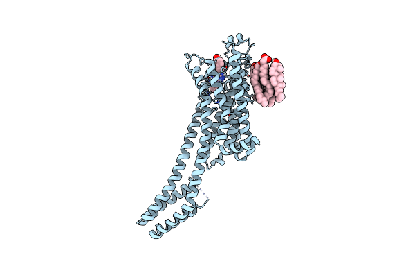 5NLX image
