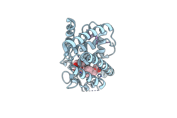 5NMA image