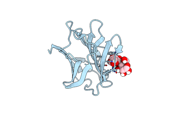 5NMJ image