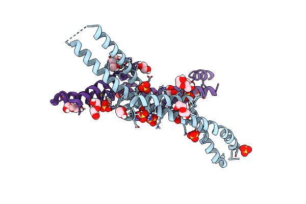 5NMO image