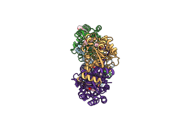 5NNA image