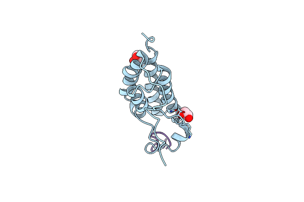 5NNG image